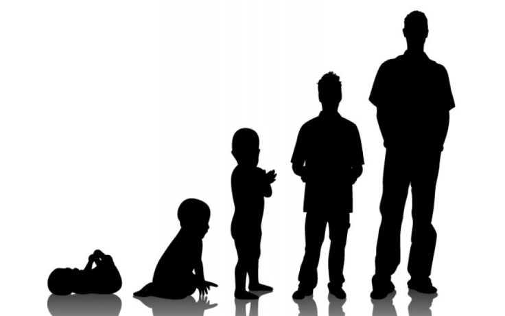 1517222000-Development from Birth to Adulthood